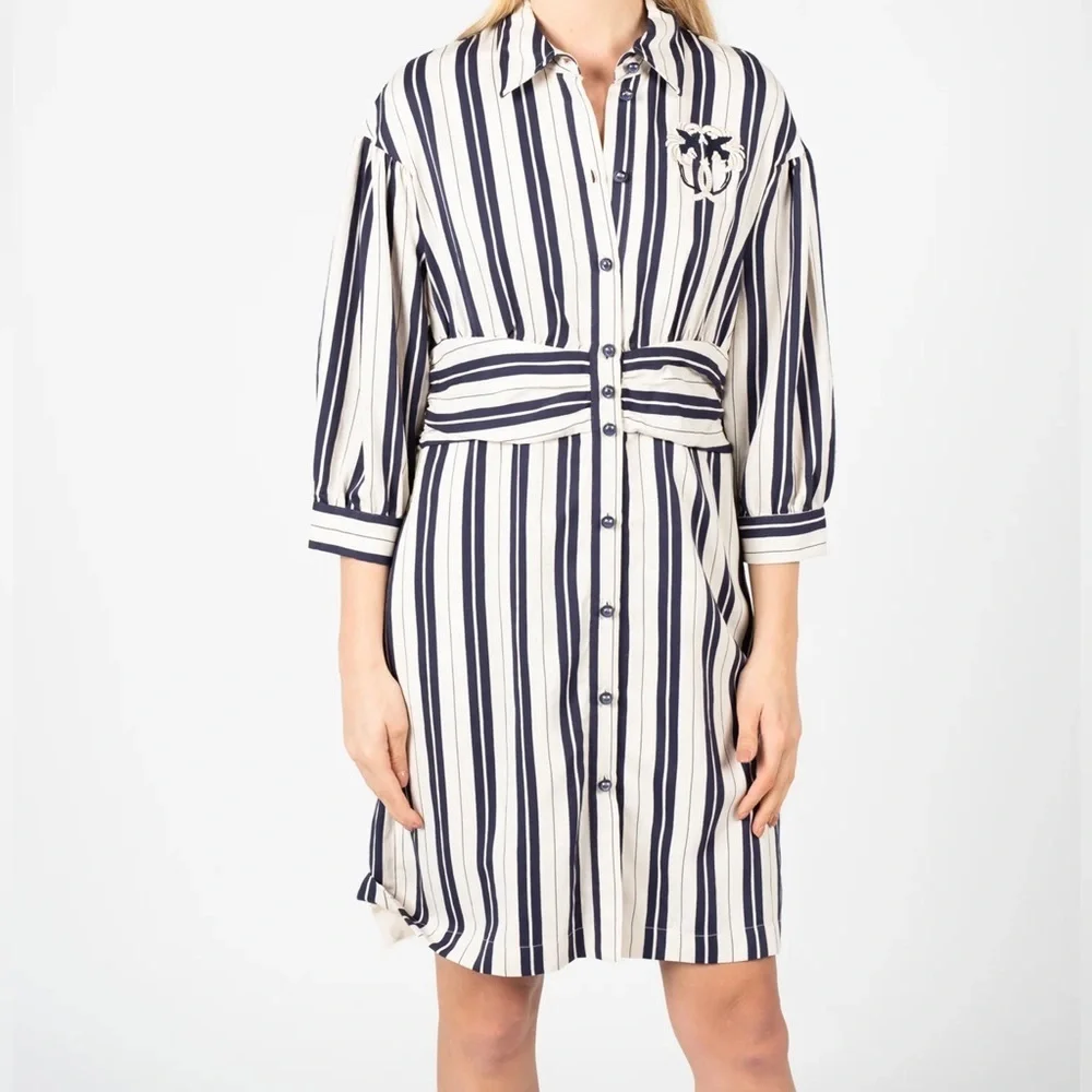 Pinko Chivasso Shirt Dress - Picture 4 of 14